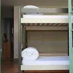 Cassis Hostel ホステル カシ